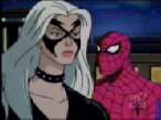 Black Cat.jpg