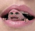 Weee.jpg