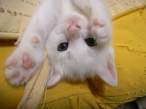 Cute.jpeg