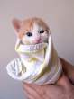 Little kitten 01.jpg