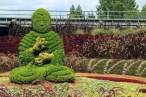 Creative gardening.jpg
