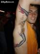 tatoo.jpeg