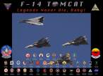 f14tributewallpaper1tw.jpg