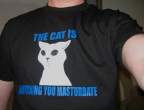The cat.jpg