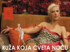 Tijana%20Dapcevic58.jpg