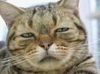Stoned.jpg