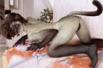 Evolution [18+].jpg