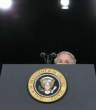 Bush.jpg