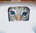 Boxed.jpg