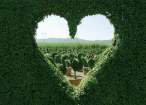 Love.jpg