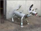 Can dog.jpg