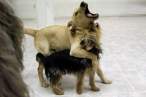 I love you.jpg