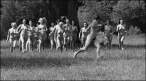 Nude marathon [18+].jpg
