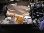 Packing.jpg