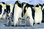 Linux convention.jpg