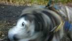 Blur.jpg
