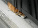 Nap.jpg