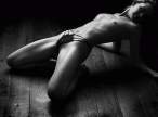 Butterfly [18+].jpg