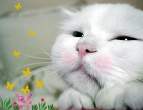 Good morning.jpg
