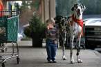 Big doggie.jpg