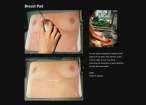 Breast pad [18+].jpg