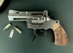 Gun.jpg