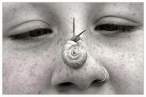 Snail.jpg
