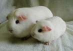 Mom and baby.jpg