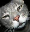 Stoned.jpg