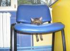 Sit.jpg