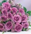 roses5.jpg