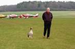 Duck.jpg