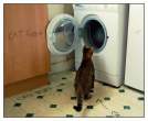 Wash.jpg