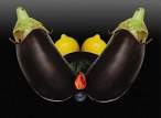 fruits1.jpg
