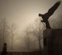 Fly away.jpg