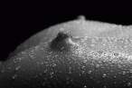 Drops [18+].jpg
