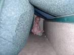 Hide and seek.jpg