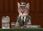 cat_commander.jpg