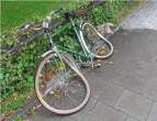 Bike.jpg