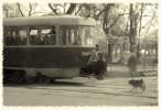 Tram.jpg