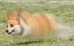 Fast.jpg