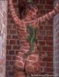 bricks 18.jpg