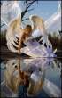 Angel.jpg