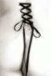 Corset [18+].jpg