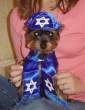 Jew.jpg