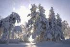 Winter.jpg