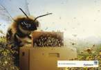 Bees.jpg