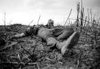 Dead Marine, 1967.jpg