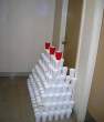 Cups.jpg