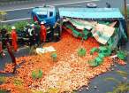 Oranges.jpg